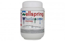 Wellspring Wholesome Whey Protein Soy Milk  Plastic Jar  600 grams